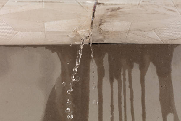 Professional Water Damage Repair technician working in Venus, TX